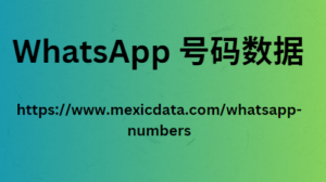 WhatsApp 号码数据